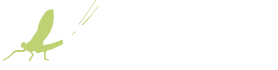 Ruoto Logo